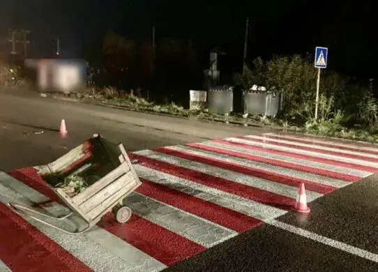 Під Житомиром збили пенсіонерку