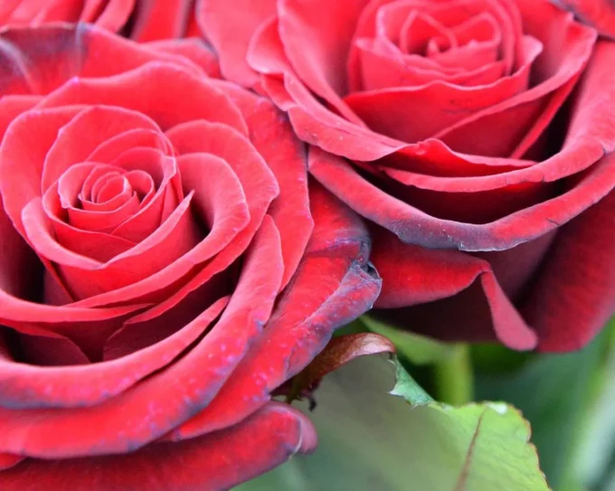 Під час виконання бойового завдання загинув мешканець Житомирської області