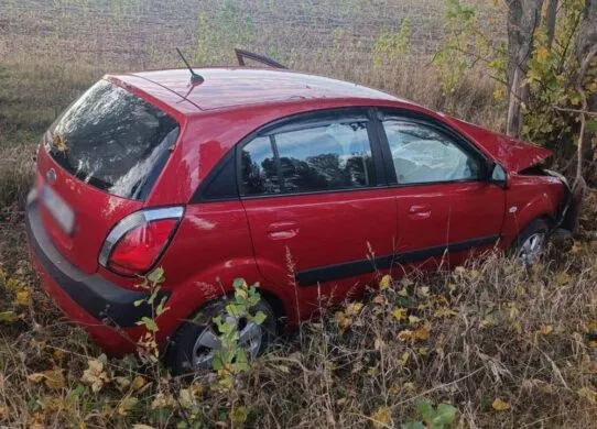 Житомирщині сталася смертельна ДТП за участі 60-річної жінки