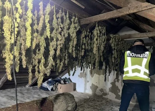 На Житомирщині викрили ділків, які поширювали наркотики по всій країні