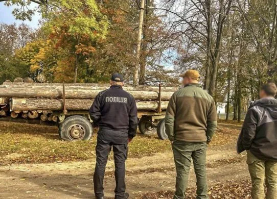 Викрадену деревину на Житомирщині поліцейські передали ЗСУ