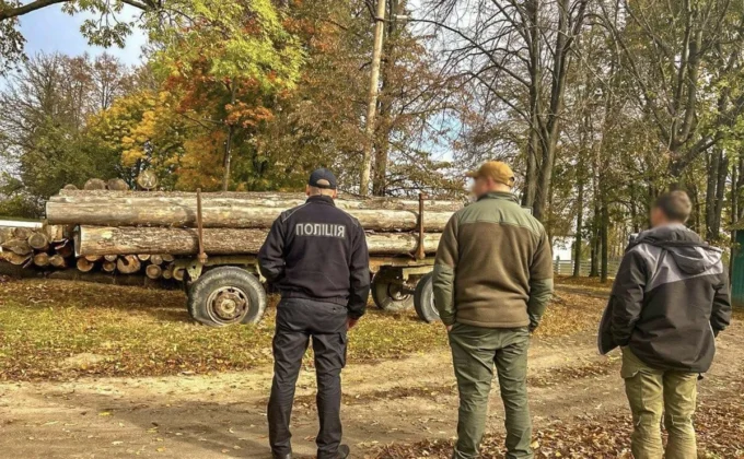 Викрадену деревину на Житомирщині поліцейські передали ЗСУ