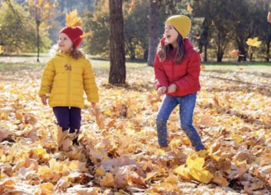 Стало відомо, коли учні житомирських ліцеїв підуть на осінні канікули