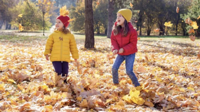 Стало відомо, коли учні житомирських ліцеїв підуть на осінні канікули