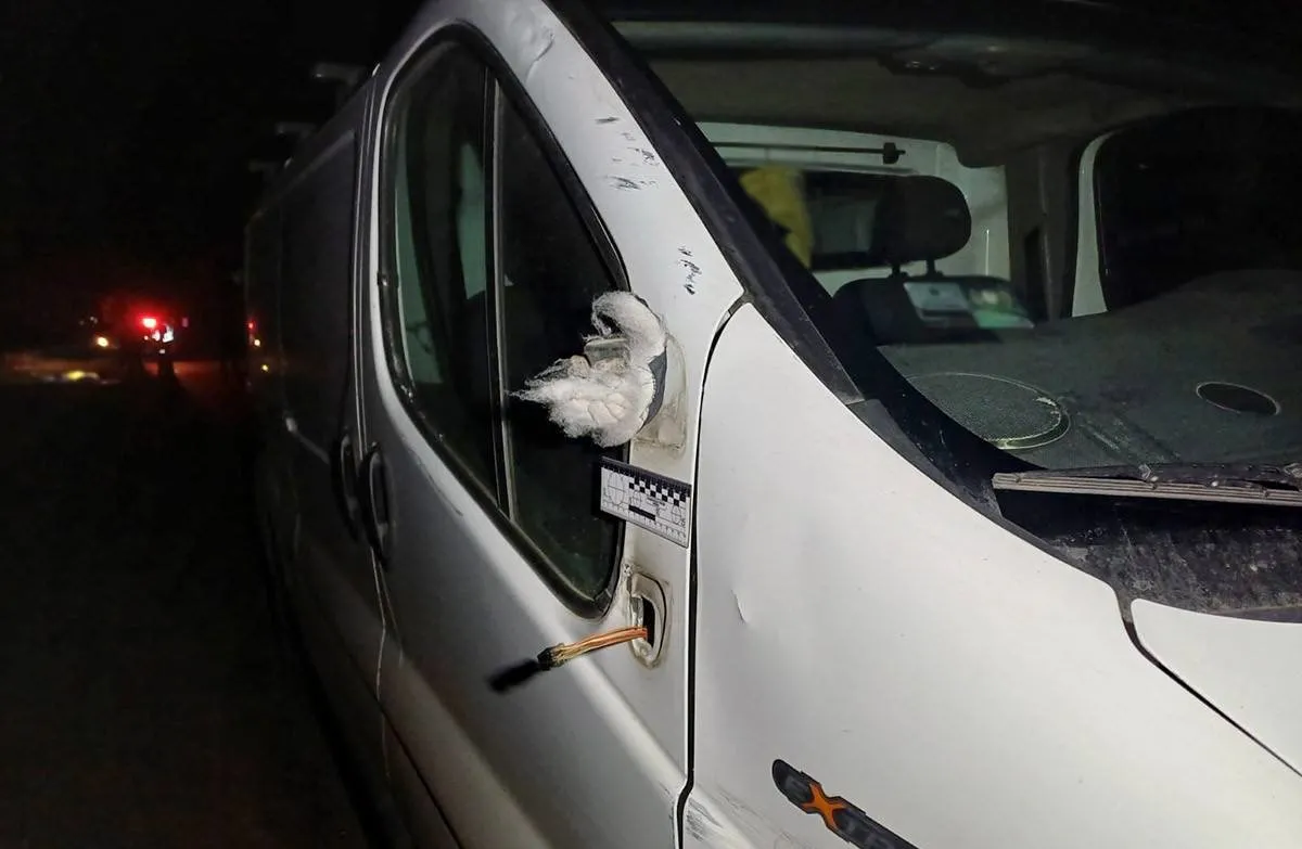 На Житомирщині під колесами авто загинув 36-річний пішохід