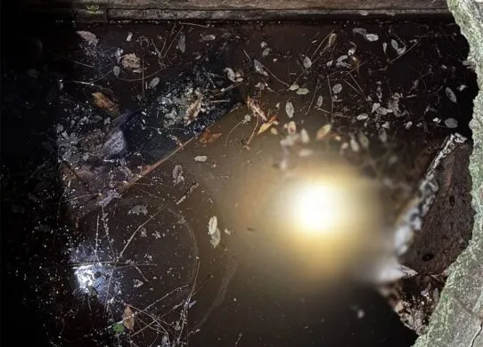 На Житомирщині при спробі пограбування вбили пенсіонера, а тіло скинули у колодязь