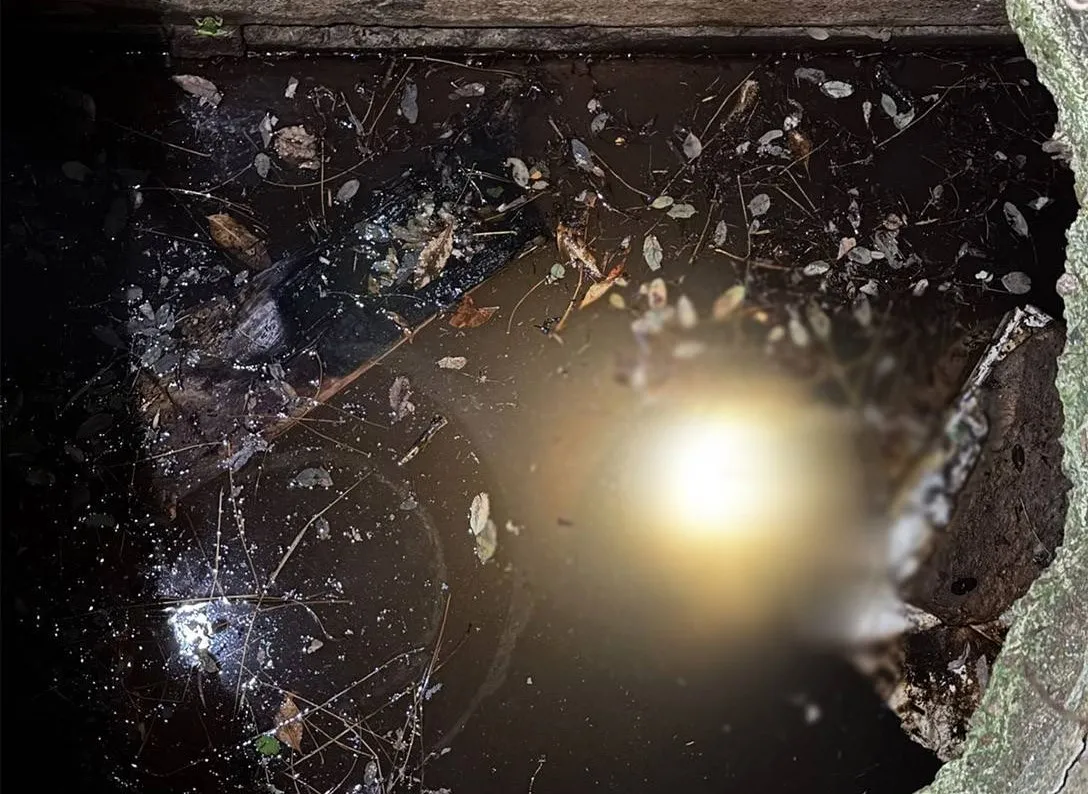 На Житомирщині при спробі пограбування вбили пенсіонера, а тіло скинули у колодязь