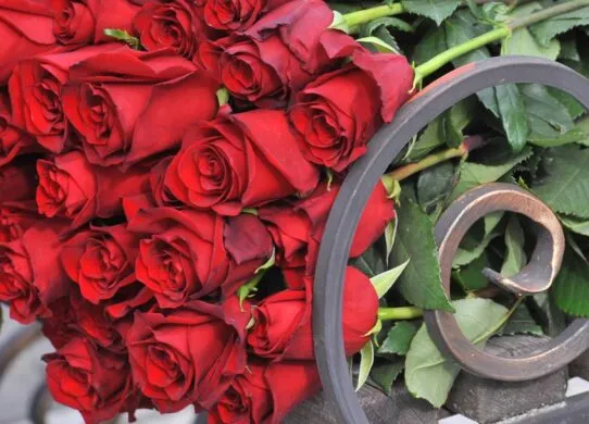 У Житомирі попрощалися одразу з трьома Героями