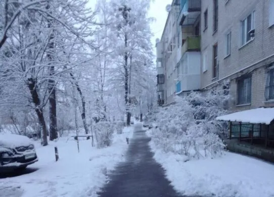 Житомир засипало снігом: як борються з негодою?