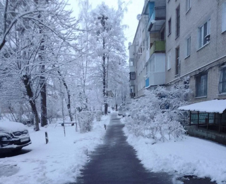 Житомир засипало снігом: як борються з негодою?