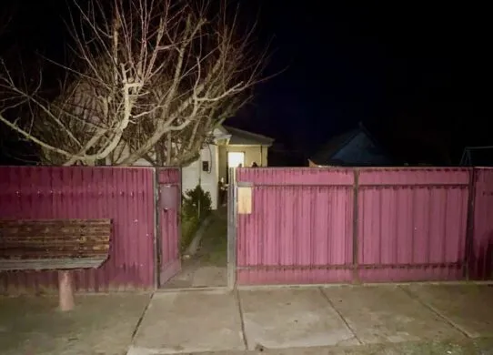 Мешканець Житомирщини забив до смерті власну матір