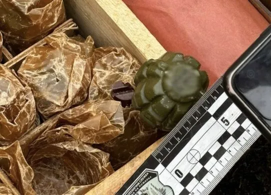 Мешканець Черкащини приїхав до Житомирської області торгувати боєприпасами