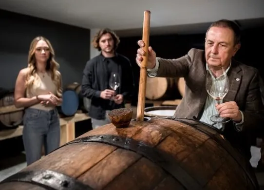 Как правильно выбрать дрожжи для коньяка?