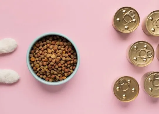 Корм для собак