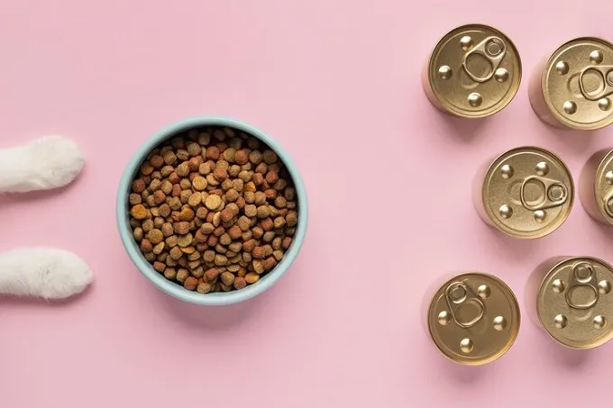 Корм для собак