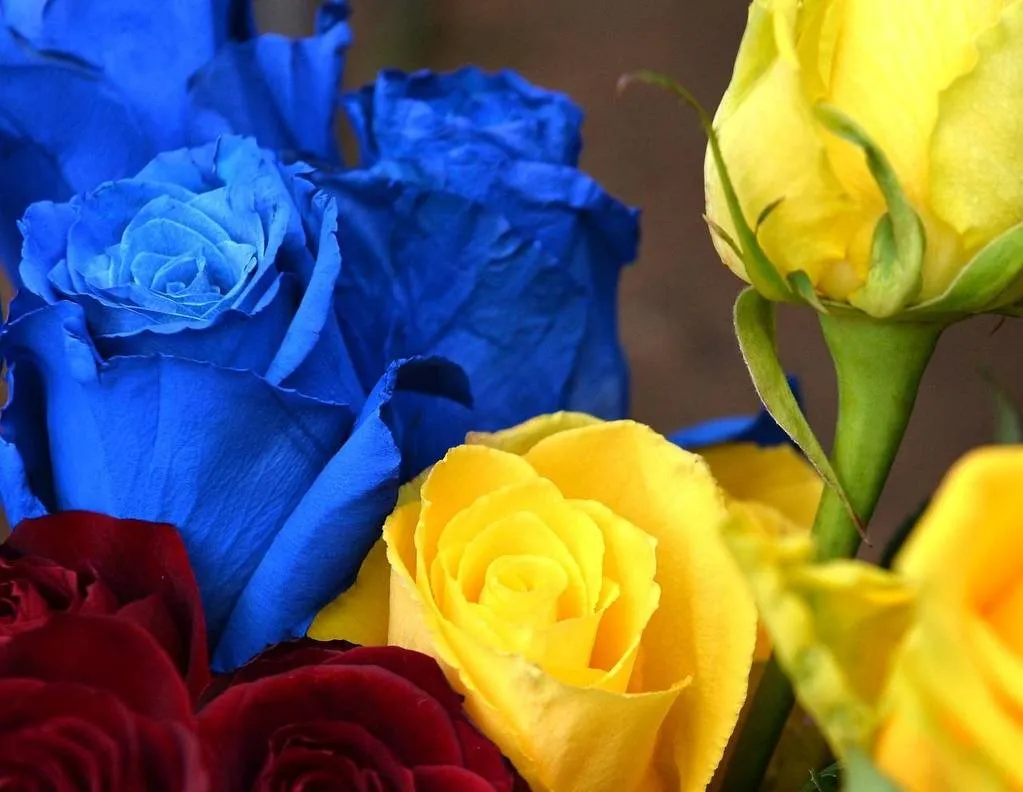 Мріяв про подорожі: на фронті загинув 23-річний Микита Світельський з Житомира