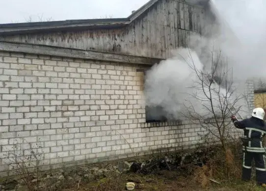 У приватному будинку на Житомирщині в пожежі загинула літня жінка