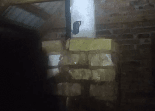 За добу на Житомирщині сталося 5 пожеж