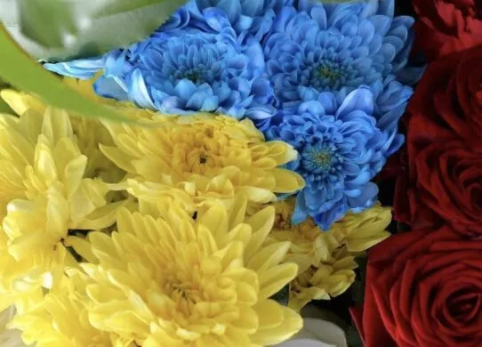 Тіло повернули через 4 місяці: ще з одним Героєм попрощалися у Житомирі