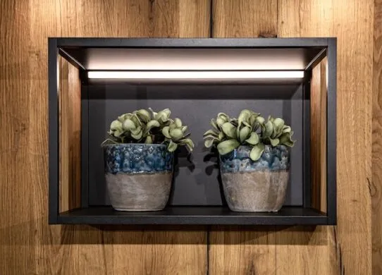 Як забезпечити ефективне освітлення для рослин у домашніх умовах