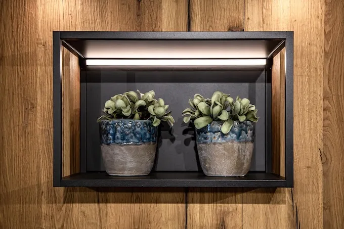 Як забезпечити ефективне освітлення для рослин у домашніх умовах