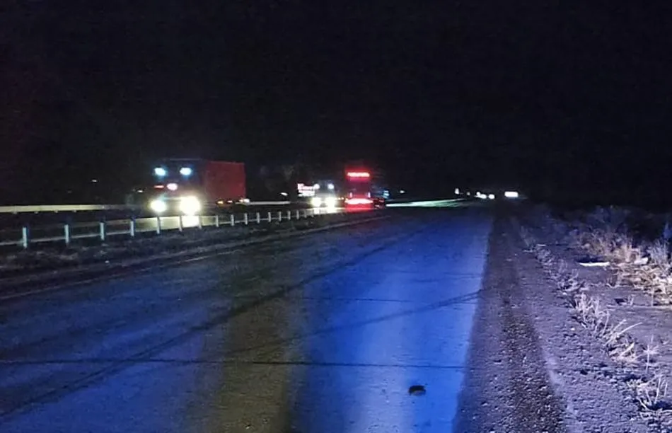 На Житомирщині затримали водія, який на смерть збив людину і навіть не зупинився