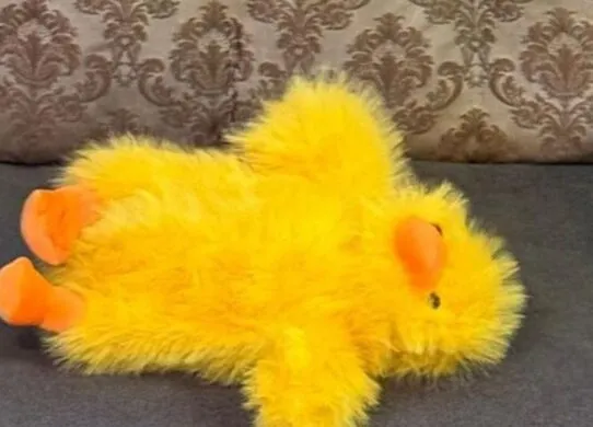 У Житомирі російські агенти заховали вибухівку в м'яку іграшку і збиралися підірвати наряд поліції