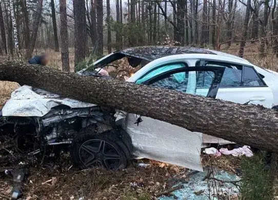 На Житомирщині легковик врізався в автобус, а потім у дерево - в авто були діти