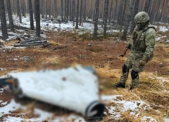 У лісі на Житомирщині виявили нерозірвану бойову частину російського БПЛА "Герань"
