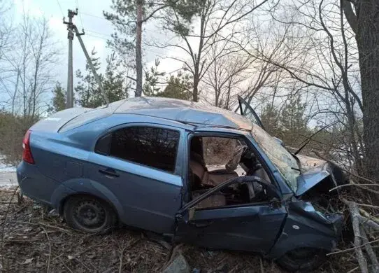 Через необережність п'яного водія у Житомирському районі загинула людина