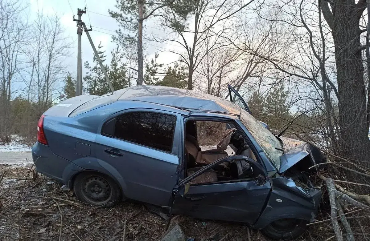 Через необережність п'яного водія у Житомирському районі загинула людина