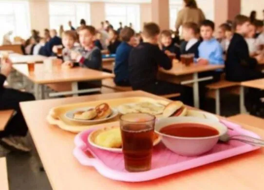 Чи буде безкоштовним харчування у 2025 році для учнів молодших класів Житомира?