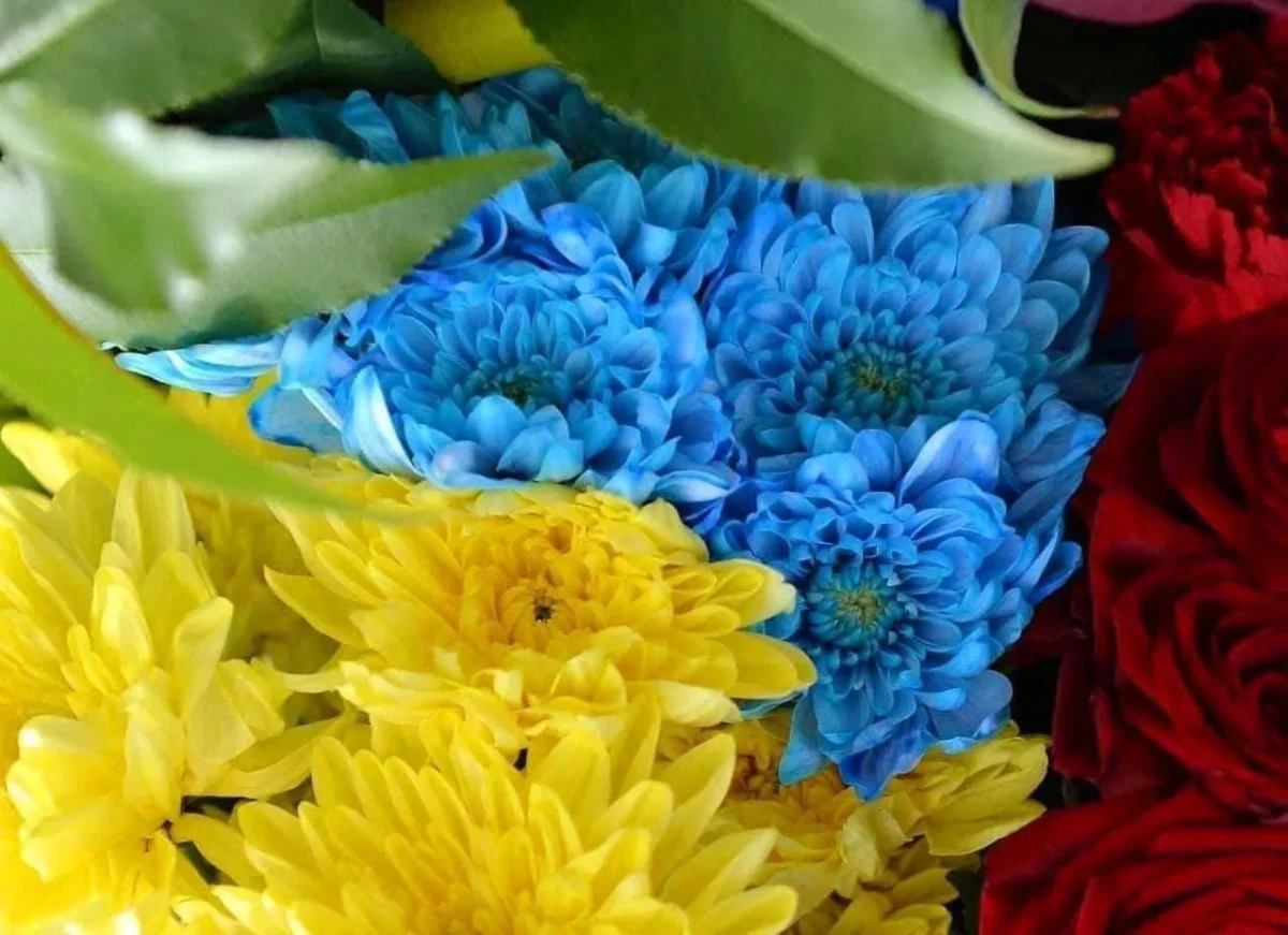 Загинув житомирянин, який мав інвалідність і повернувся з-за кордону, щоб захищати Україну