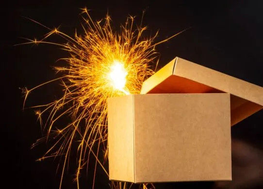 У поліції попередили про небезпечний для дітей тренд у ТікТок