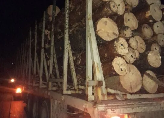 Водій з підробленими документами перевозив на Житомирщині деревину