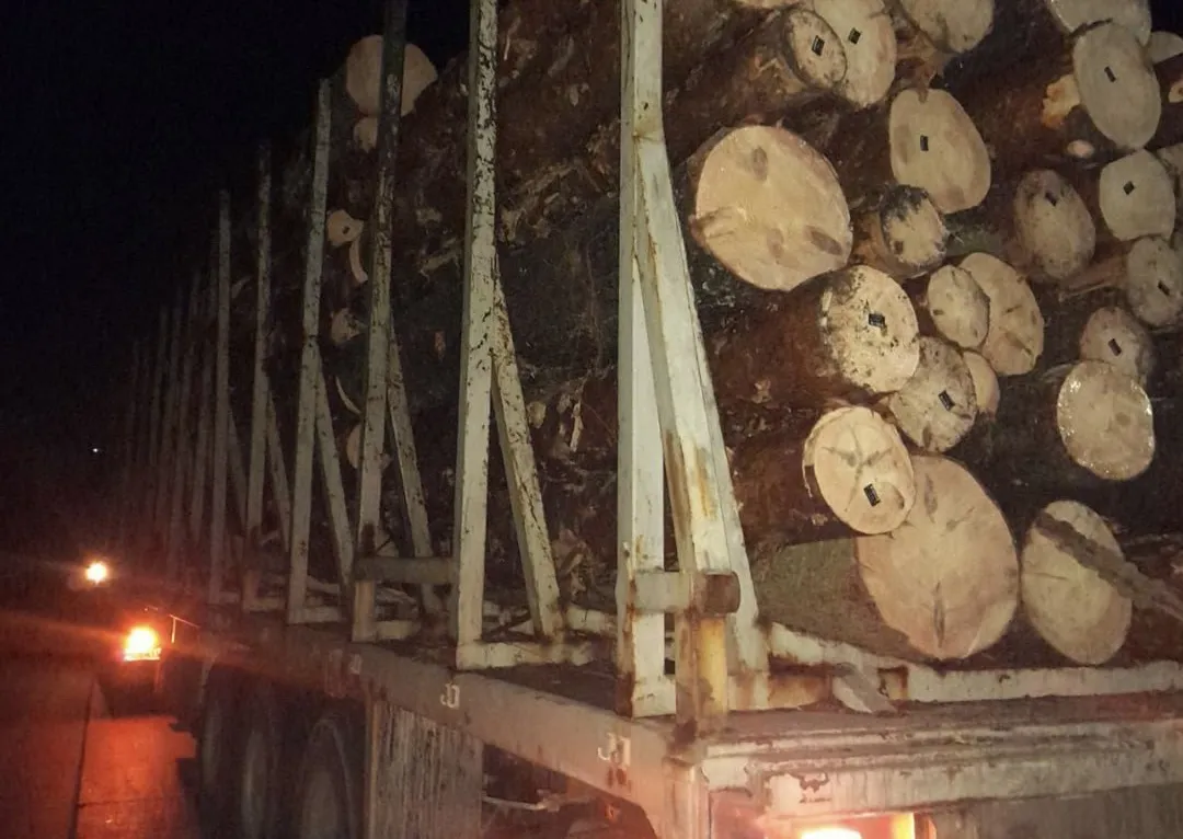 Водій з підробленими документами перевозив на Житомирщині деревину