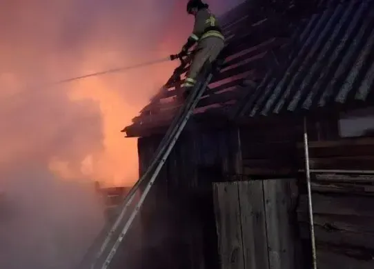 Під час гасіння пожежі на Житомирщині виявили чоловіка та його матір без свідомості