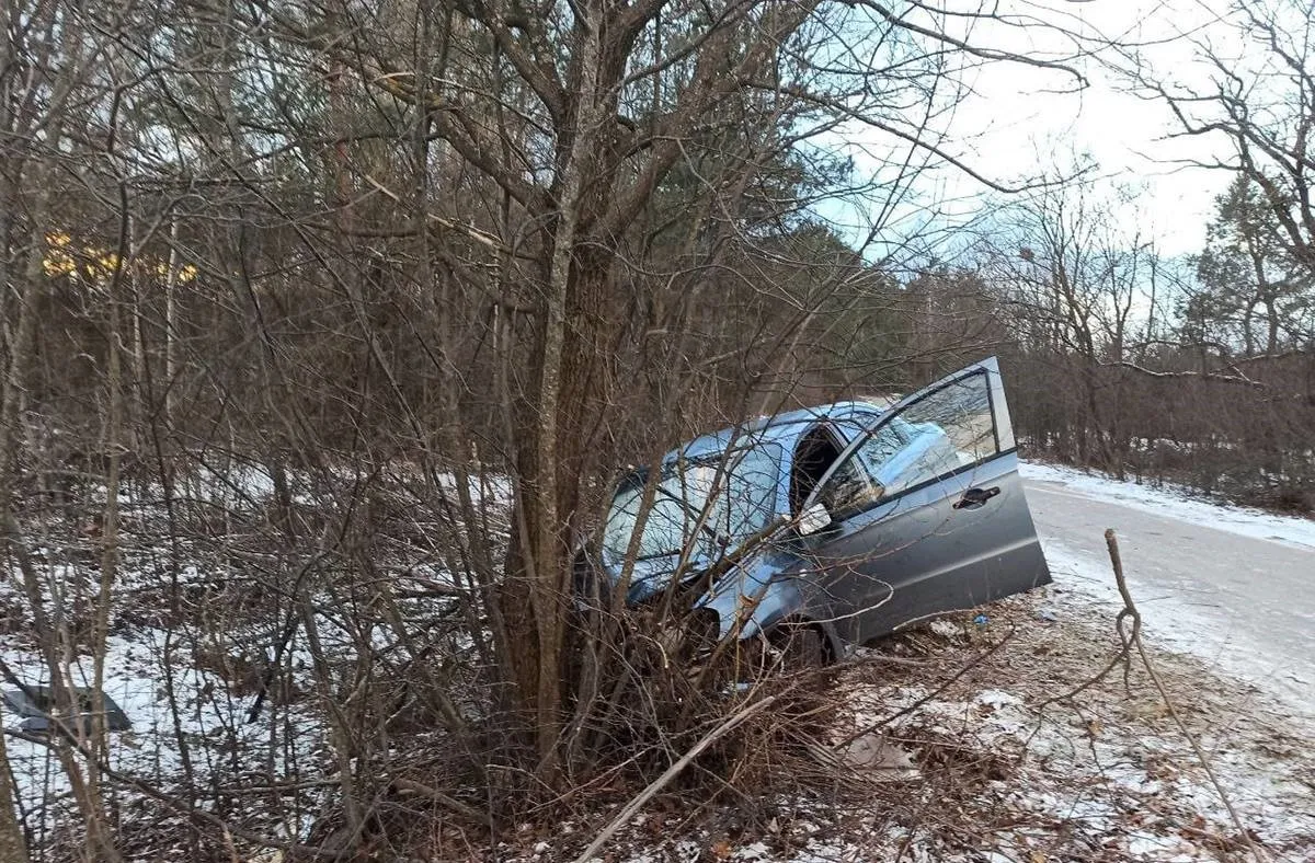 На Житомирщині через п'яного водія загинула людина