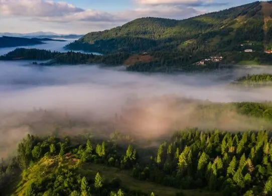 Готель "Шепіт Лісу" у Буковелі: ідеальне місце для вашого відпочинку