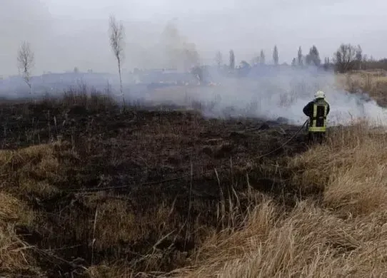 На Житомирщині збільшилася кількість пожеж через загоряння сухої трави