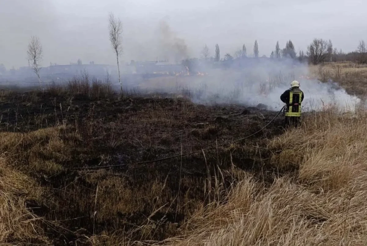 На Житомирщині збільшилася кількість пожеж через загоряння сухої трави