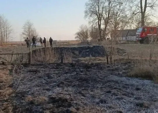 Мешканець Житомирщини загинув, коли палив суху траву
