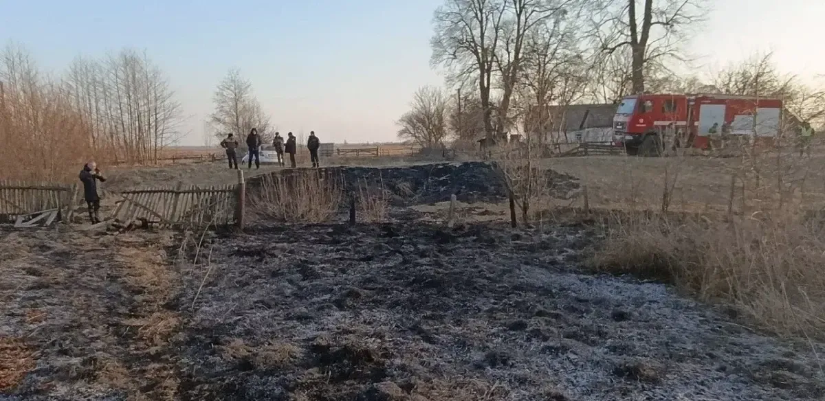 Мешканець Житомирщини загинув, коли палив суху траву