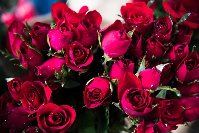 Почему букеты роз идеально подходят для любого случая?