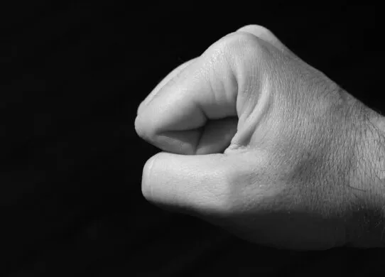 Вночі у центрі Житомира сталася бійка