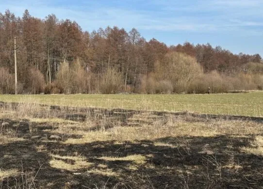 Спалювання листя і трави: який штраф у Житомирі