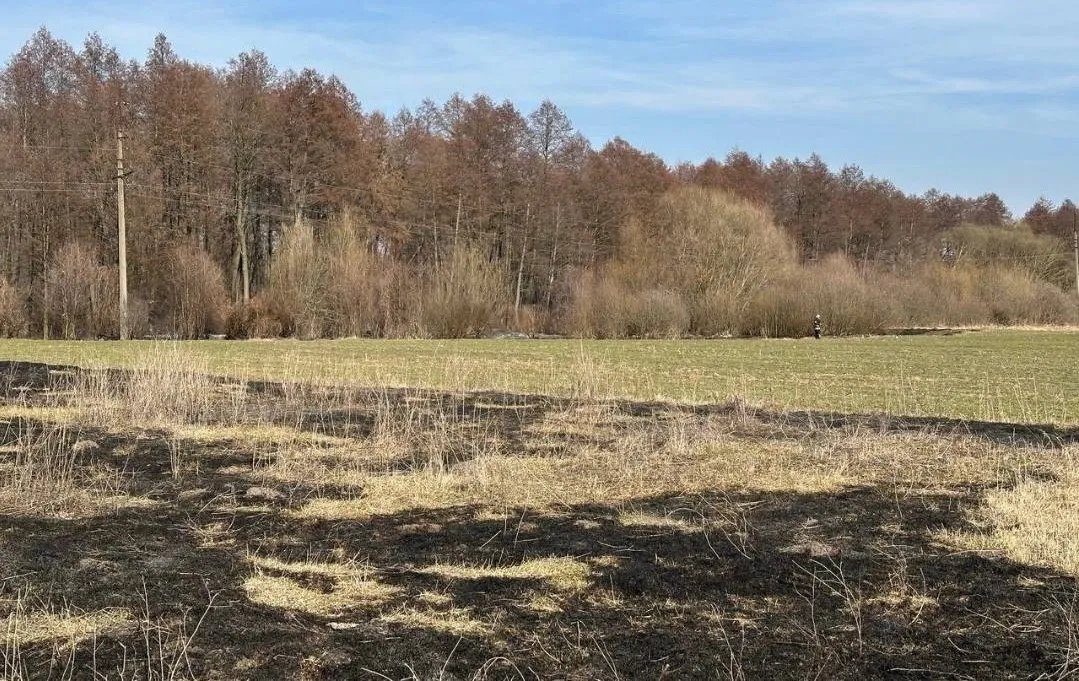 Спалювання листя і трави: який штраф у Житомирі