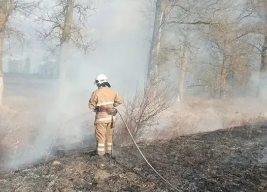 На Житомирщині 5 годин боролися з пожежею через підпалений сухостій
