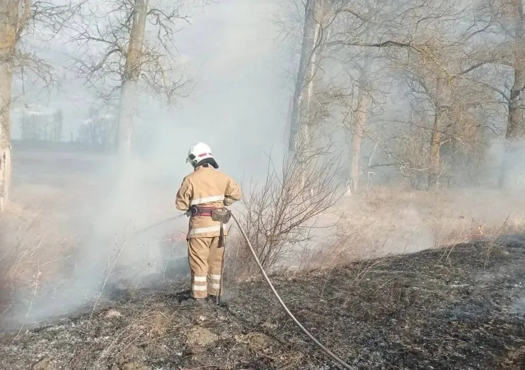 На Житомирщині 5 годин боролися з пожежею через підпалений сухостій