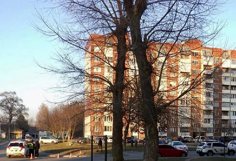 Стрілянина у Звягелі: чоловік з пневматики обстріляли легковик